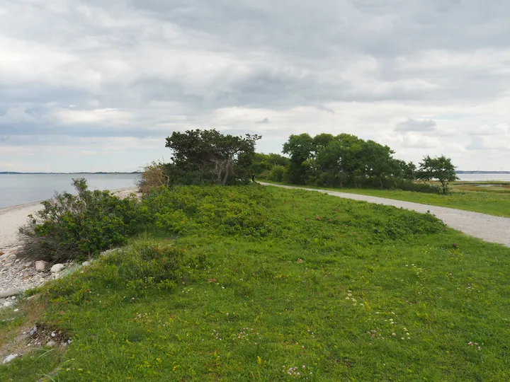 Halshuisene + Enebaerodde Beach (Denemarken)